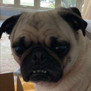 Meet your Posher, Kristina